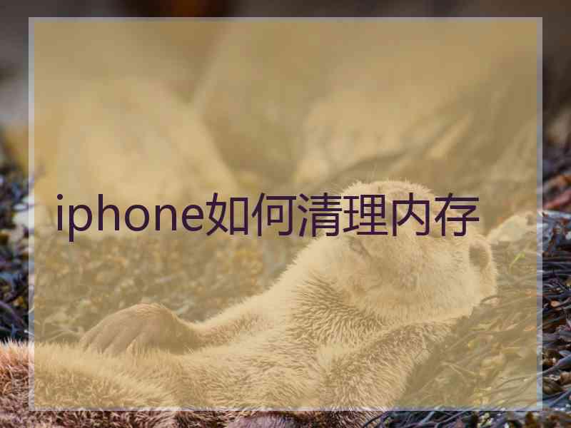 iphone如何清理内存