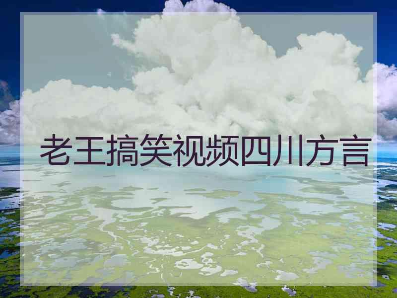 老王搞笑视频四川方言