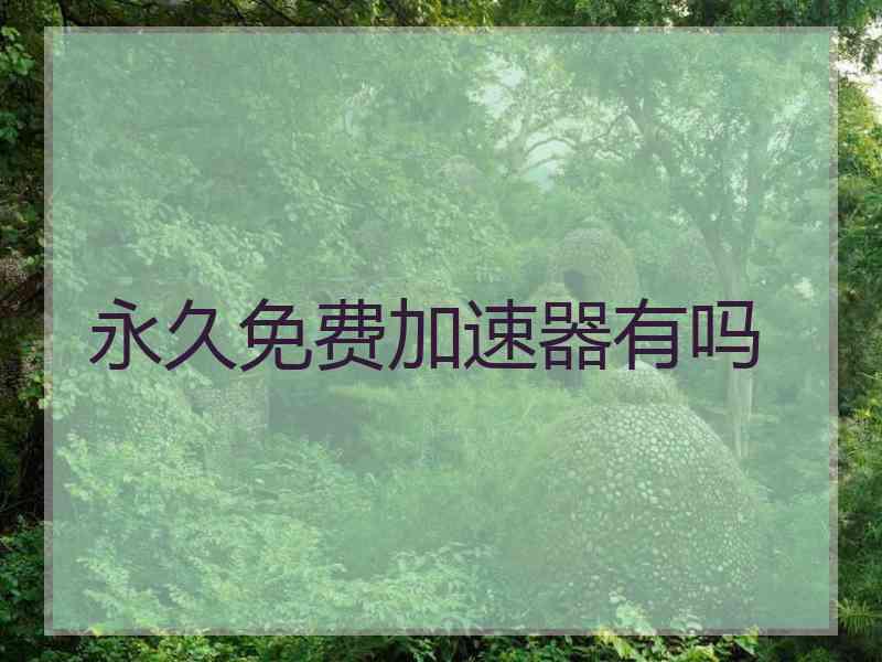 永久免费加速器有吗