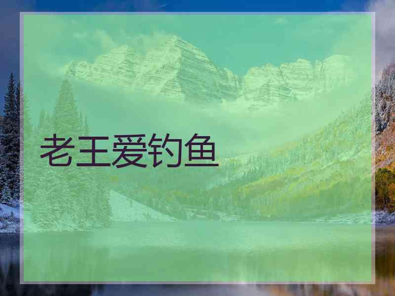 老王爱钓鱼