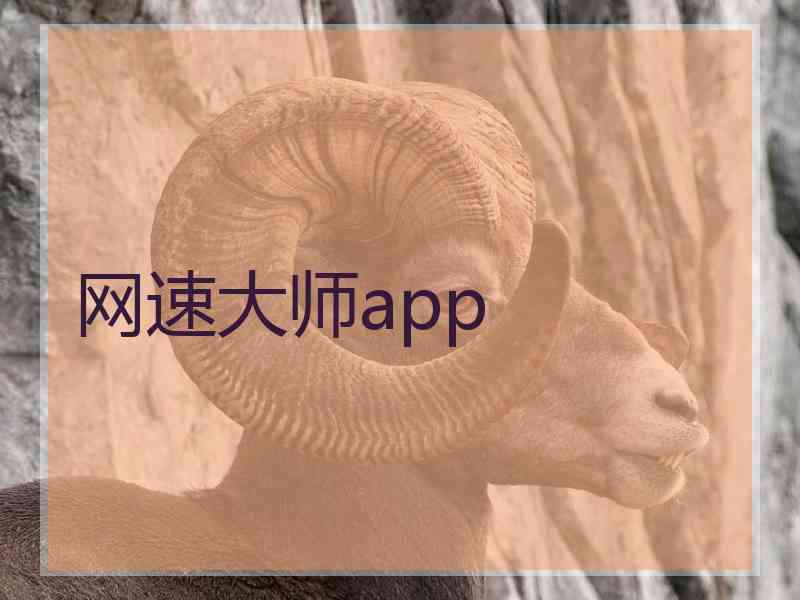 网速大师app