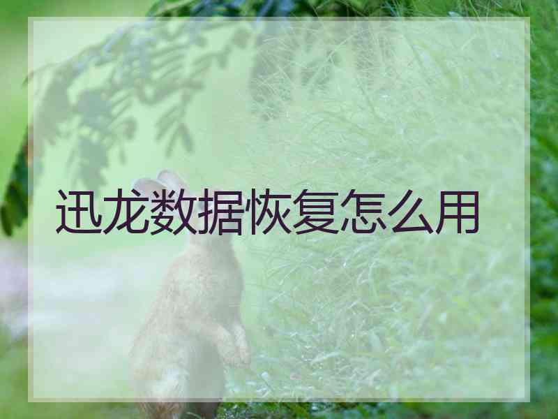 迅龙数据恢复怎么用