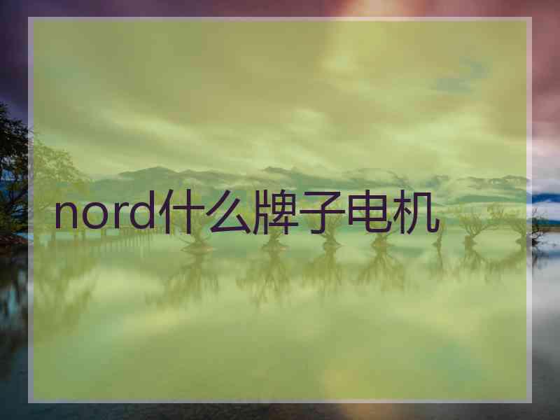 nord什么牌子电机