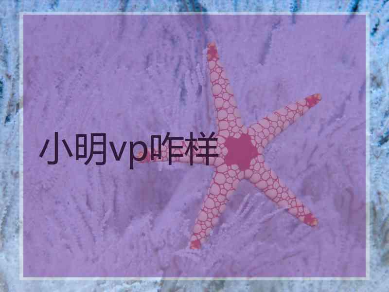 小明vp咋样
