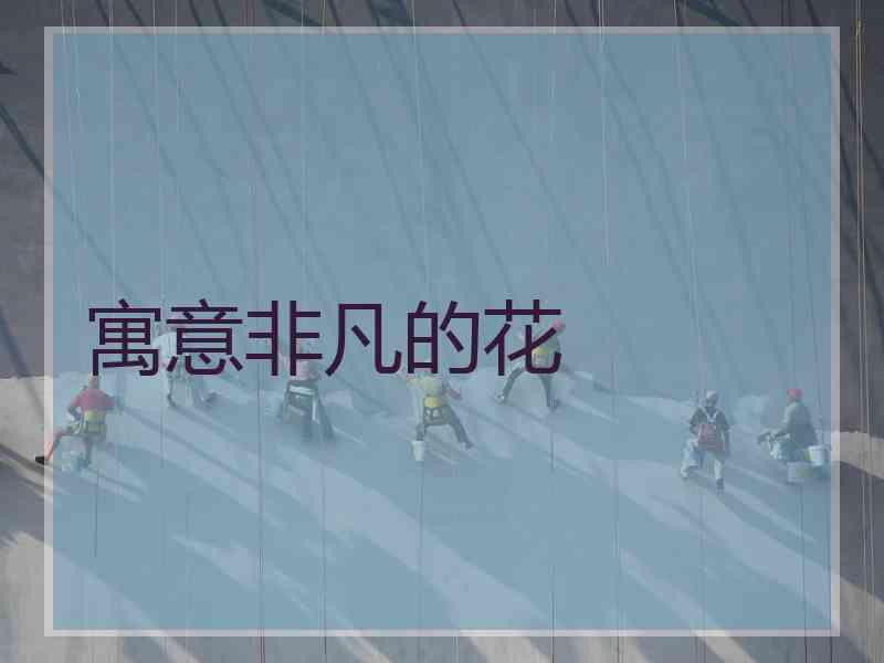 寓意非凡的花