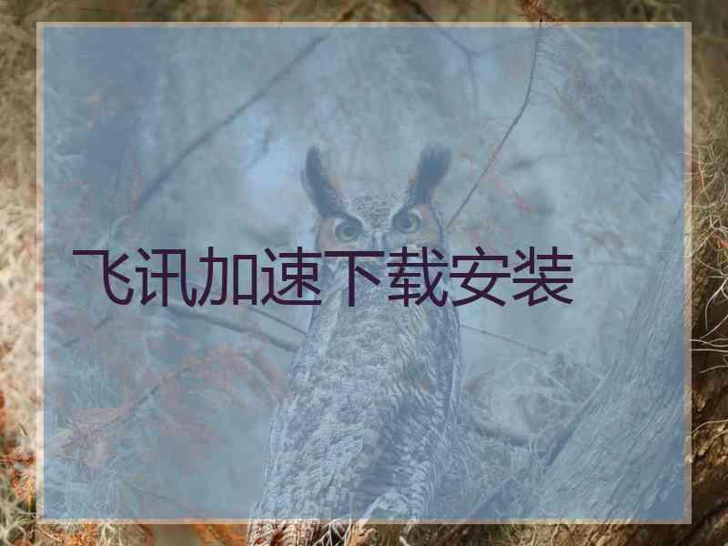 飞讯加速下载安装