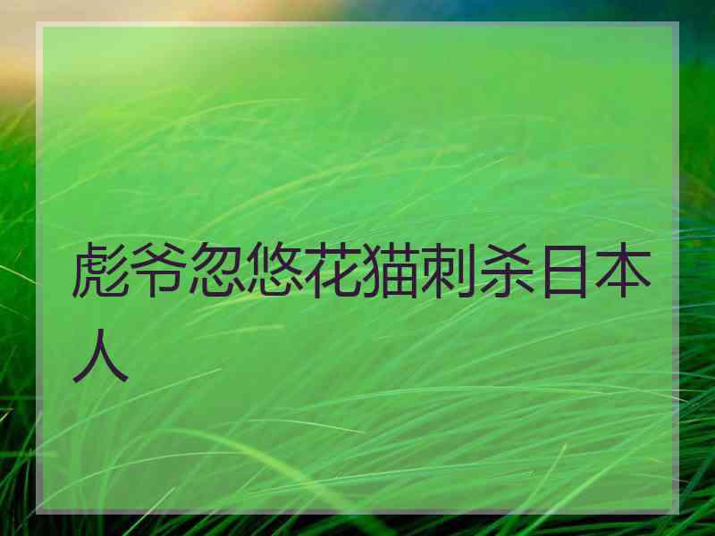 彪爷忽悠花猫刺杀日本人