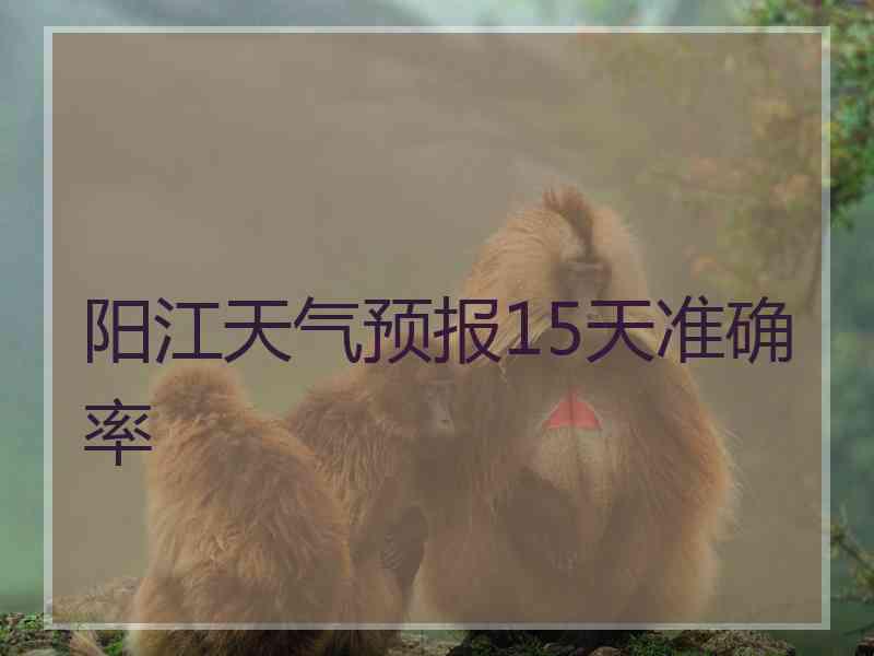 阳江天气预报15天准确率