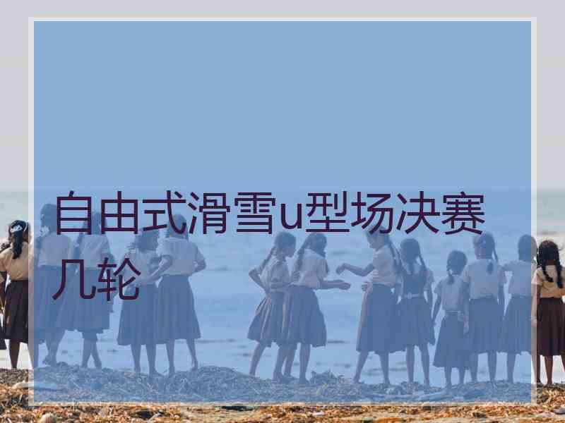 自由式滑雪u型场决赛几轮