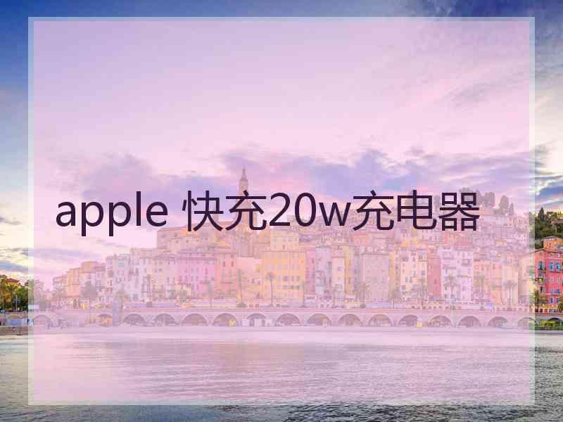 apple 快充20w充电器