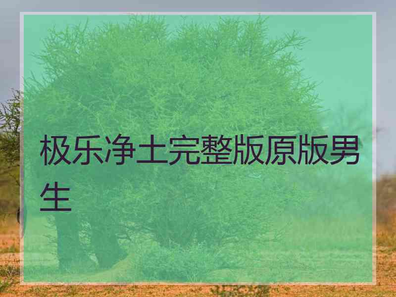 极乐净土完整版原版男生