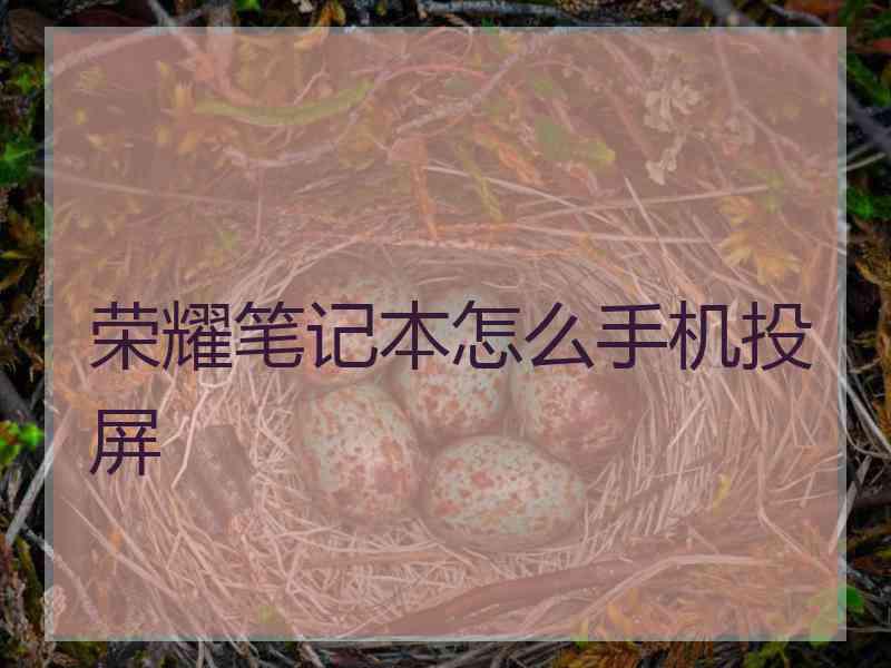 荣耀笔记本怎么手机投屏