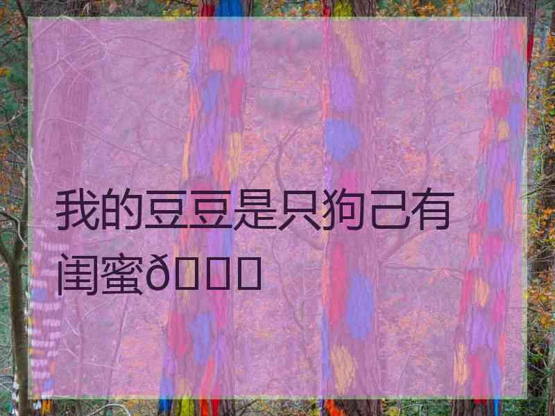我的豆豆是只狗己有闺蜜🙂