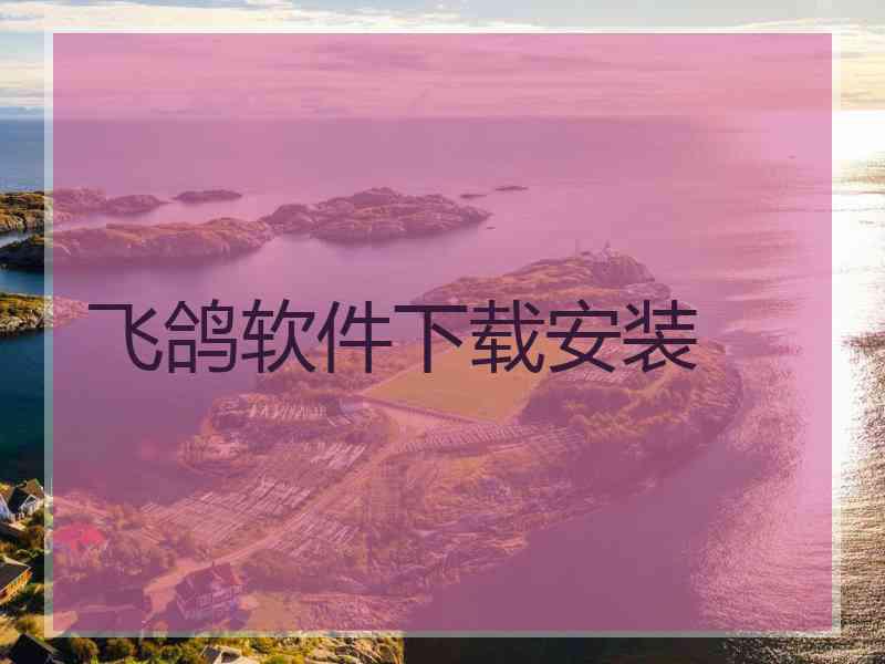 飞鸽软件下载安装