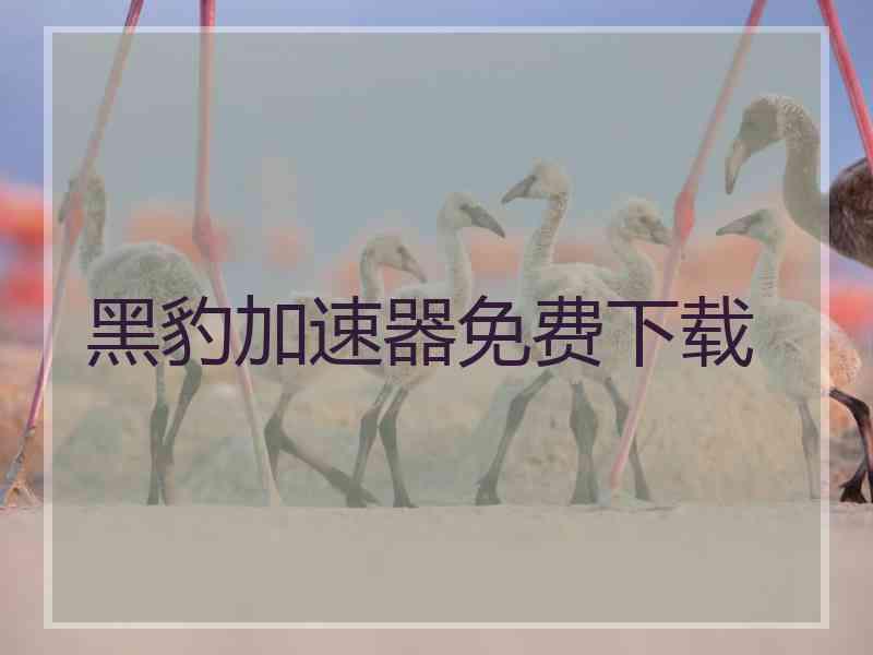 黑豹加速器免费下载