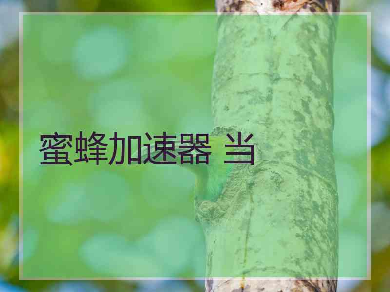 蜜蜂加速器 当