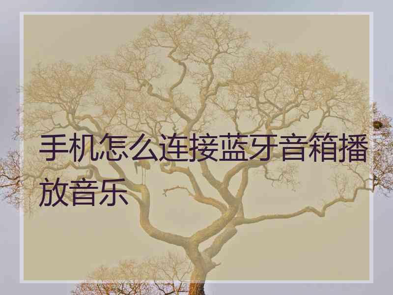 手机怎么连接蓝牙音箱播放音乐