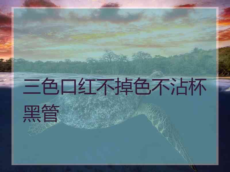 三色口红不掉色不沾杯黑管