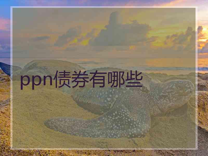 ppn债券有哪些