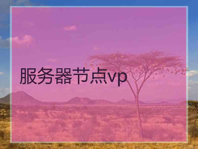 服务器节点vp
