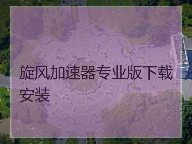 旋风加速器专业版下载安装