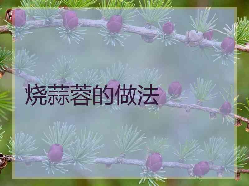 烧蒜蓉的做法