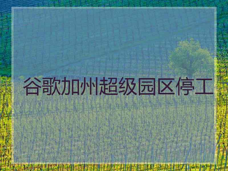 谷歌加州超级园区停工