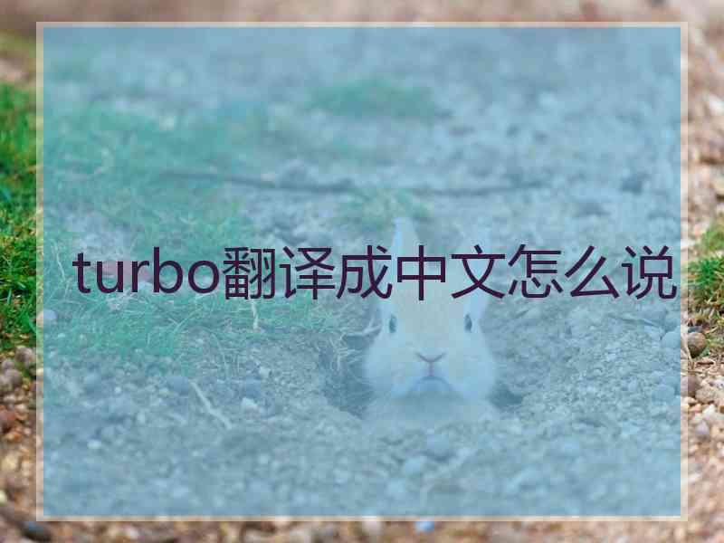 turbo翻译成中文怎么说
