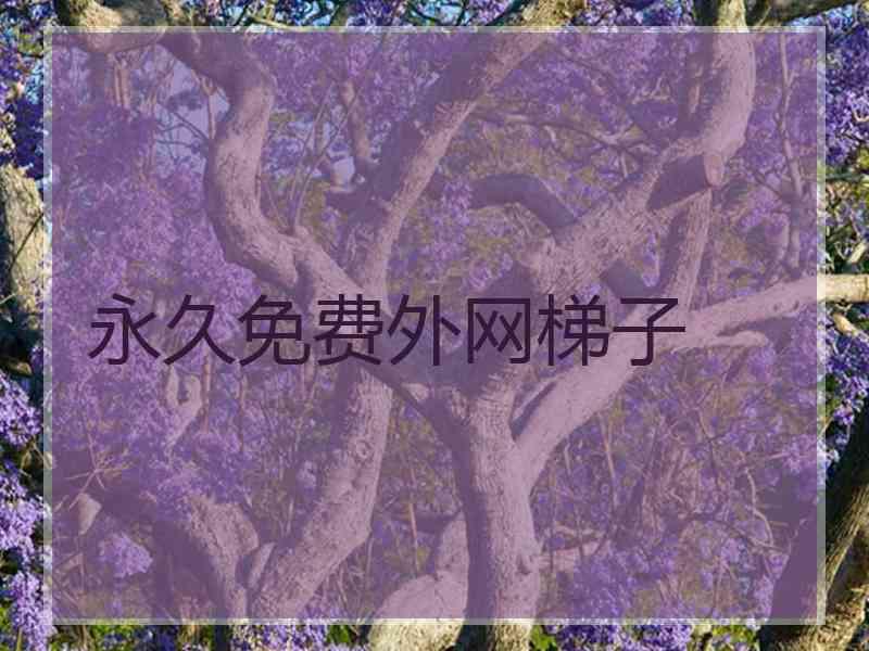 永久免费外网梯子