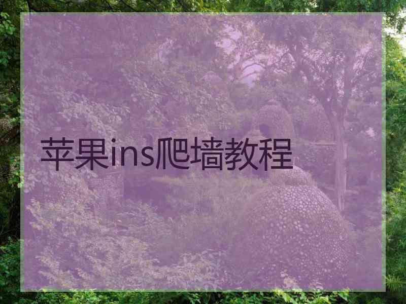 苹果ins爬墙教程