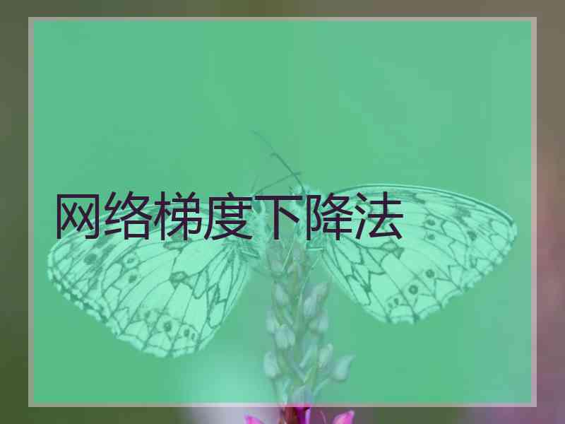 网络梯度下降法