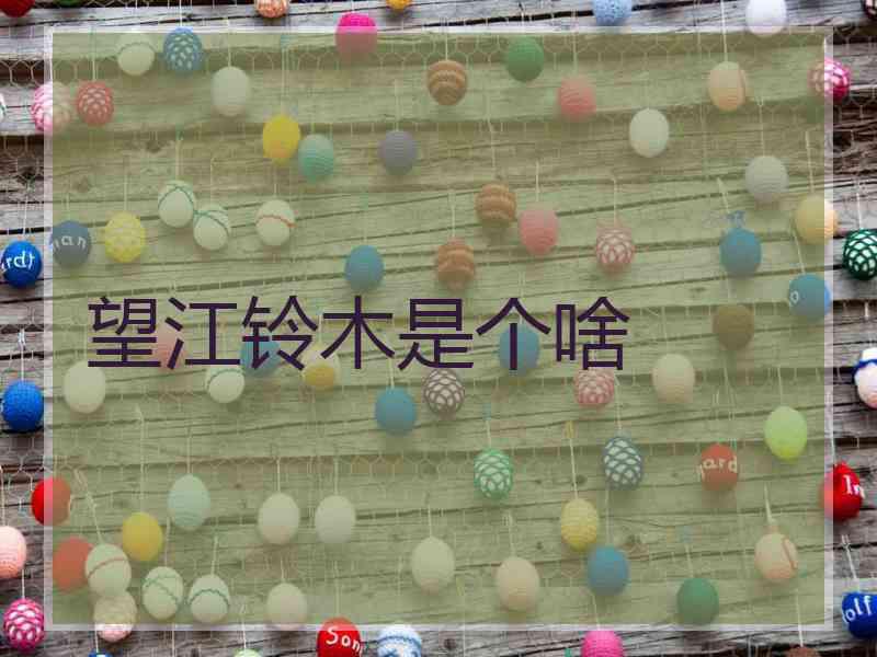 望江铃木是个啥