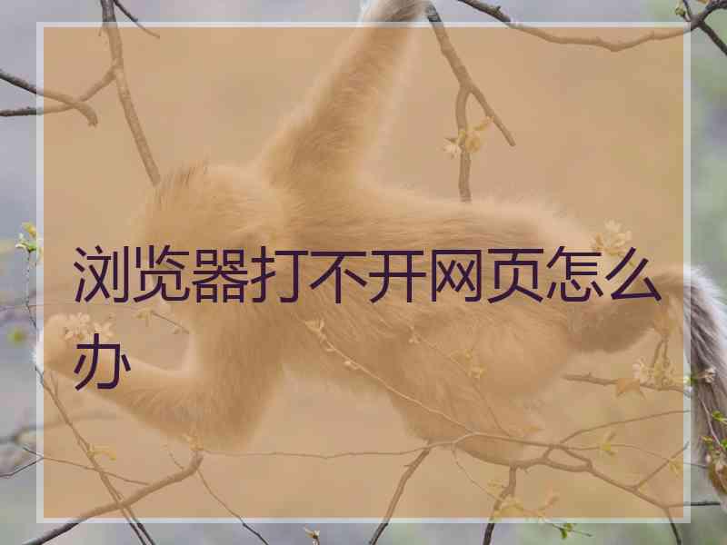 浏览器打不开网页怎么办