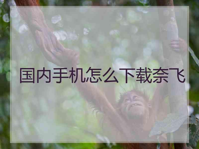 国内手机怎么下载奈飞