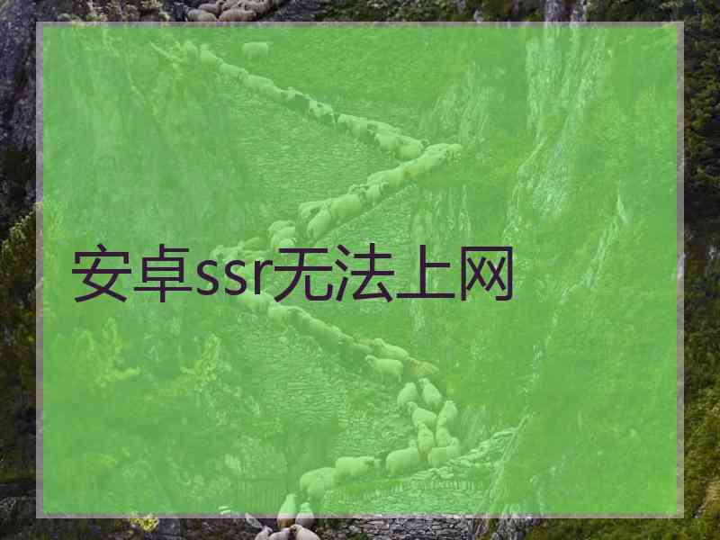 安卓ssr无法上网