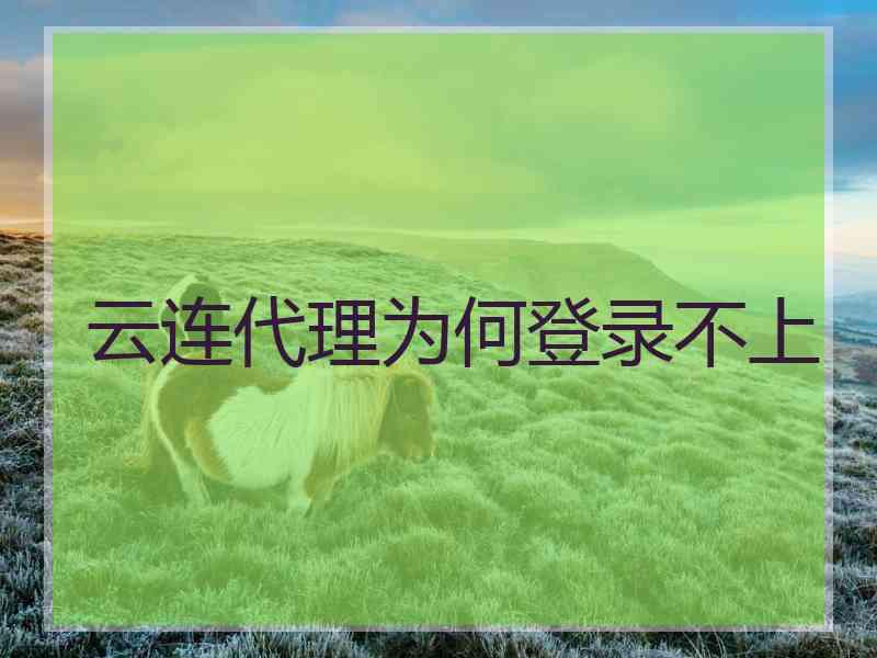 云连代理为何登录不上