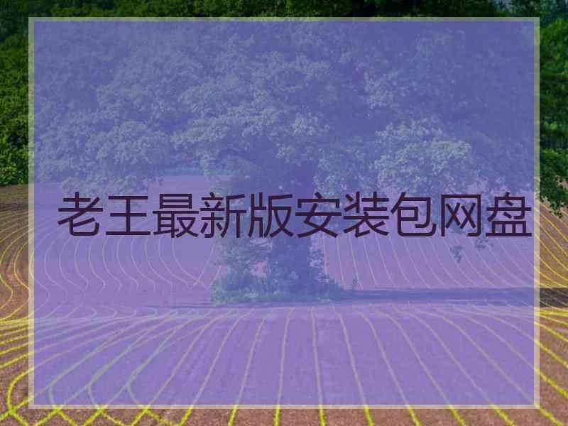 老王最新版安装包网盘