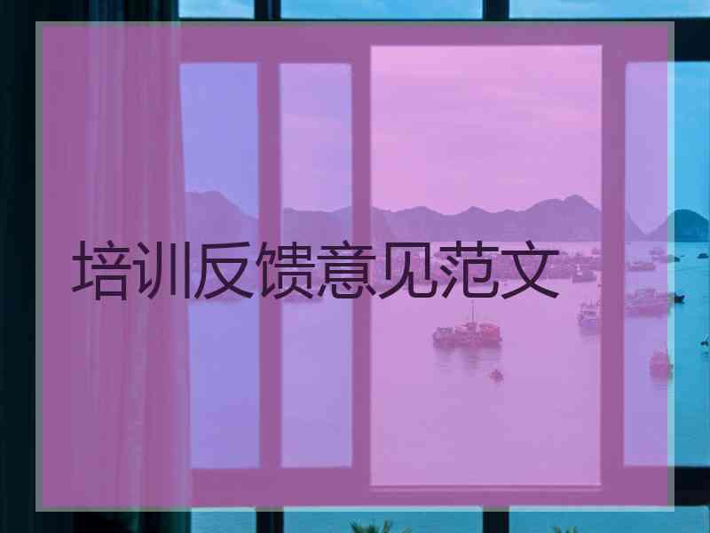 培训反馈意见范文