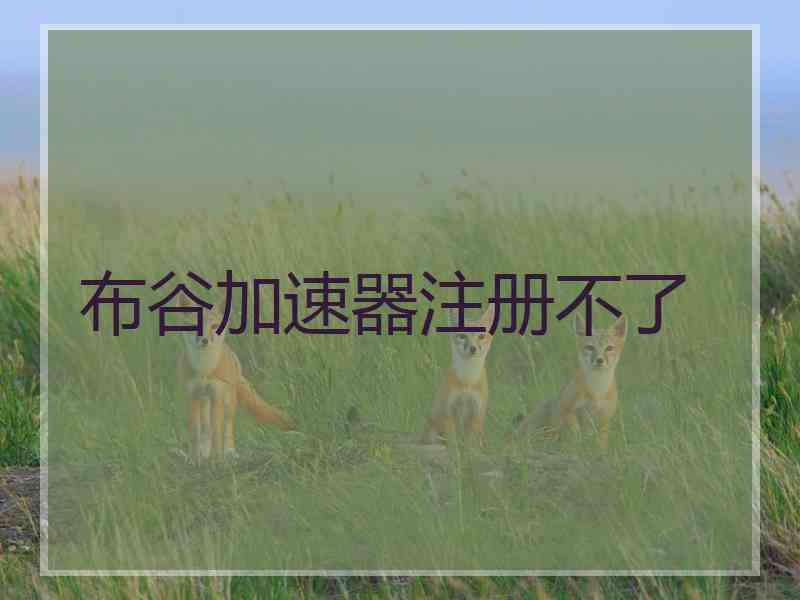布谷加速器注册不了