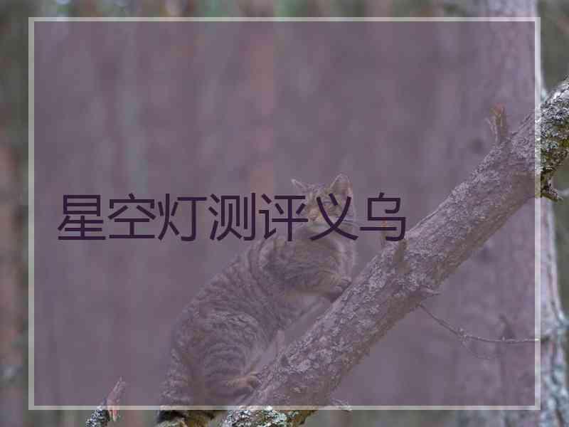 星空灯测评义乌