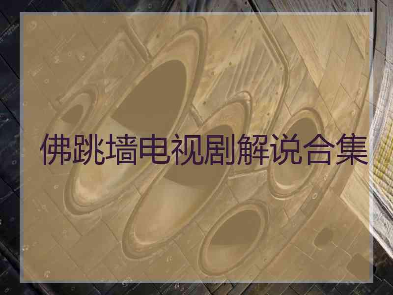 佛跳墙电视剧解说合集