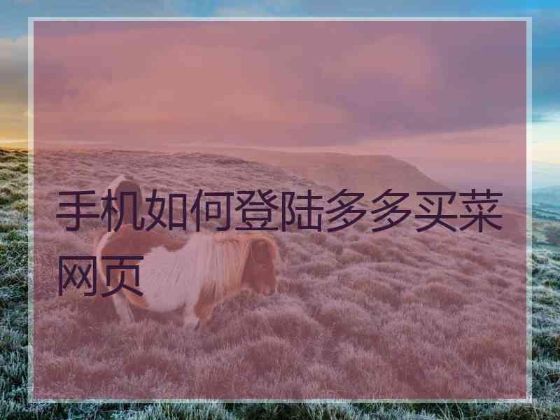 手机如何登陆多多买菜网页
